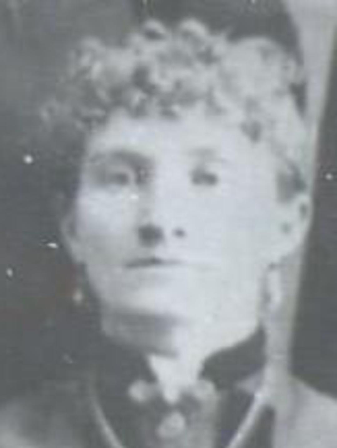 Sarah Adeline Palmer (1852) Profile